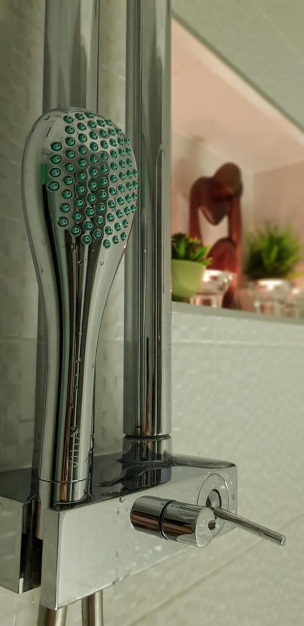 Apartment Plaza ----Wallbox 11Kw 16A ----- Private Spa- Jacuzzi, Infrared Sauna, Luxury Massage Chair, Parking, Entry With Pin 0 - 24H, Free Cancellation 24 Hours Before Check In 슬라본스키브로드 외부 사진